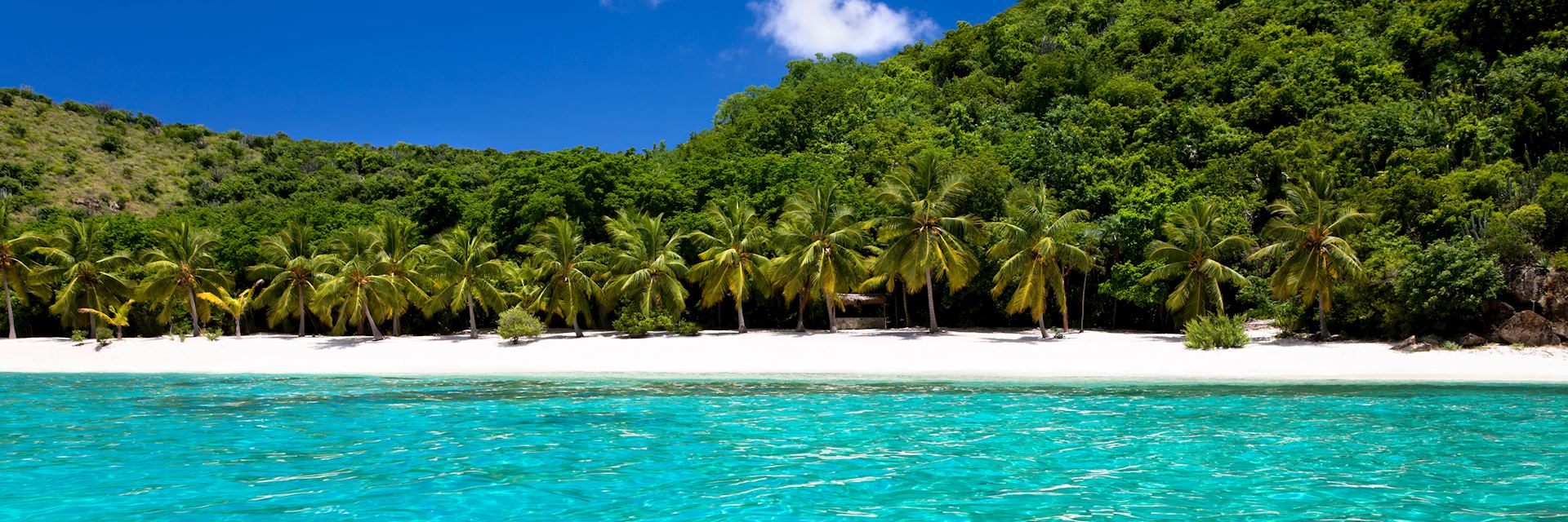 Guana Island beach