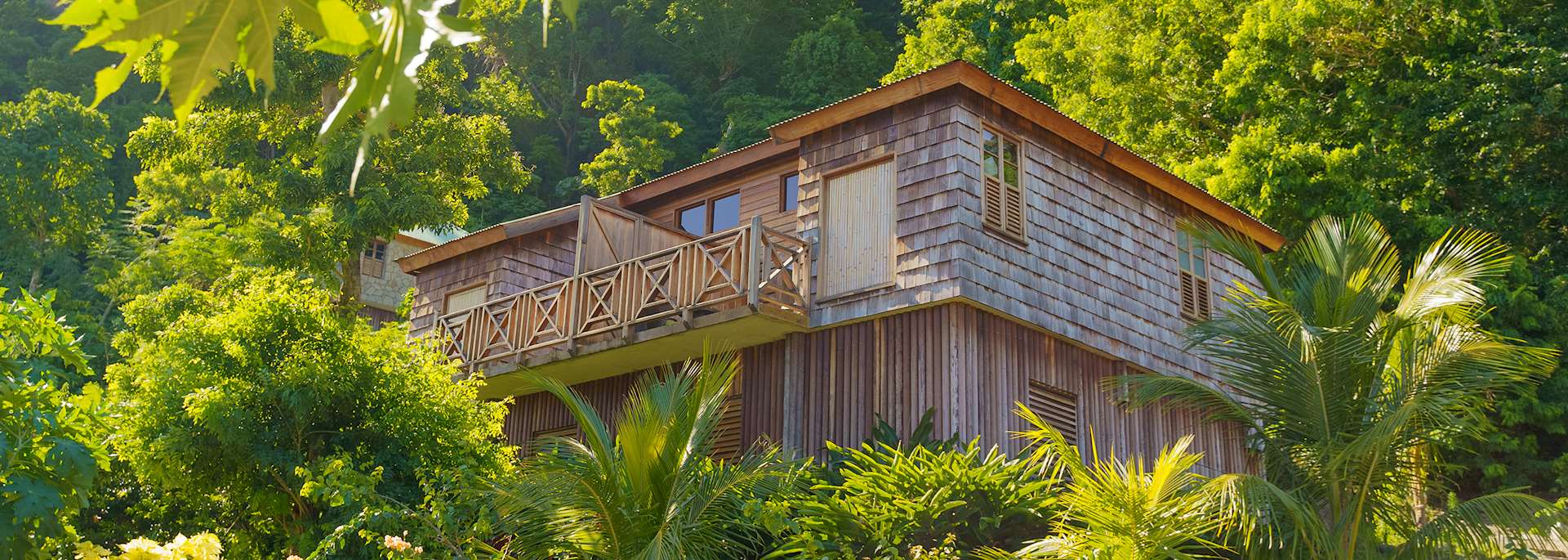 Jungle Bay