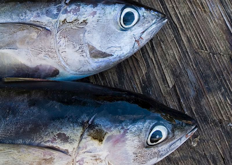 Fresh fish