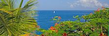 iStock_000052318036_saint_lucia