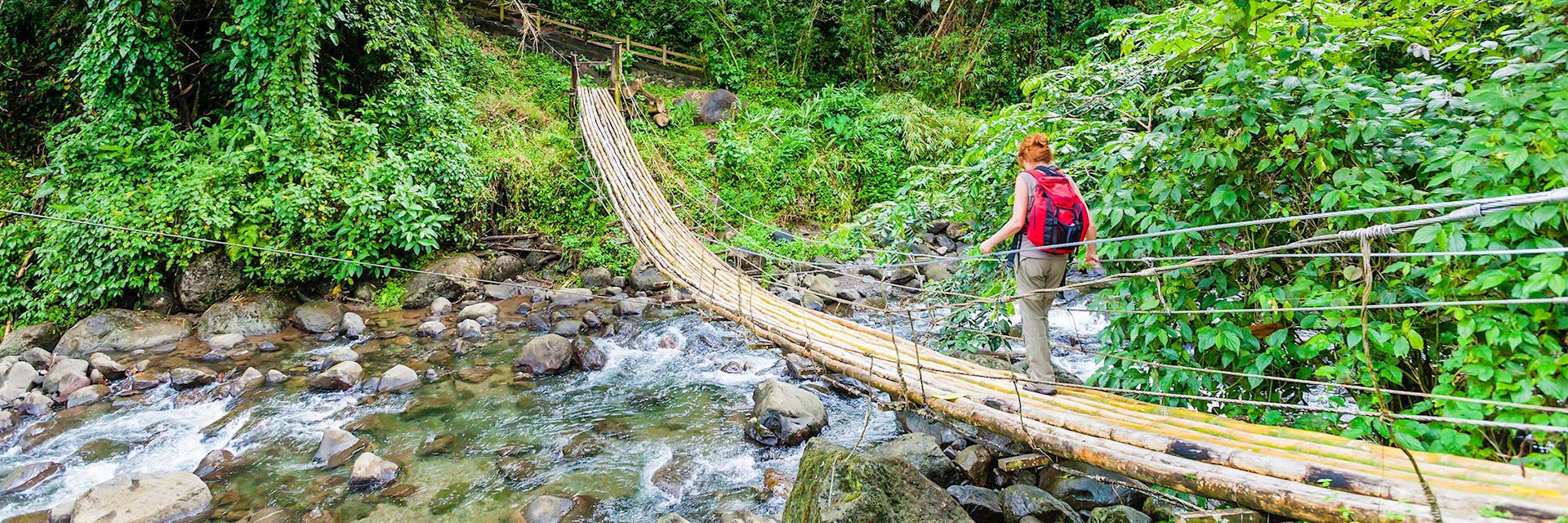 Crossing a bamboo bridge, St Vincent and the Grenadines