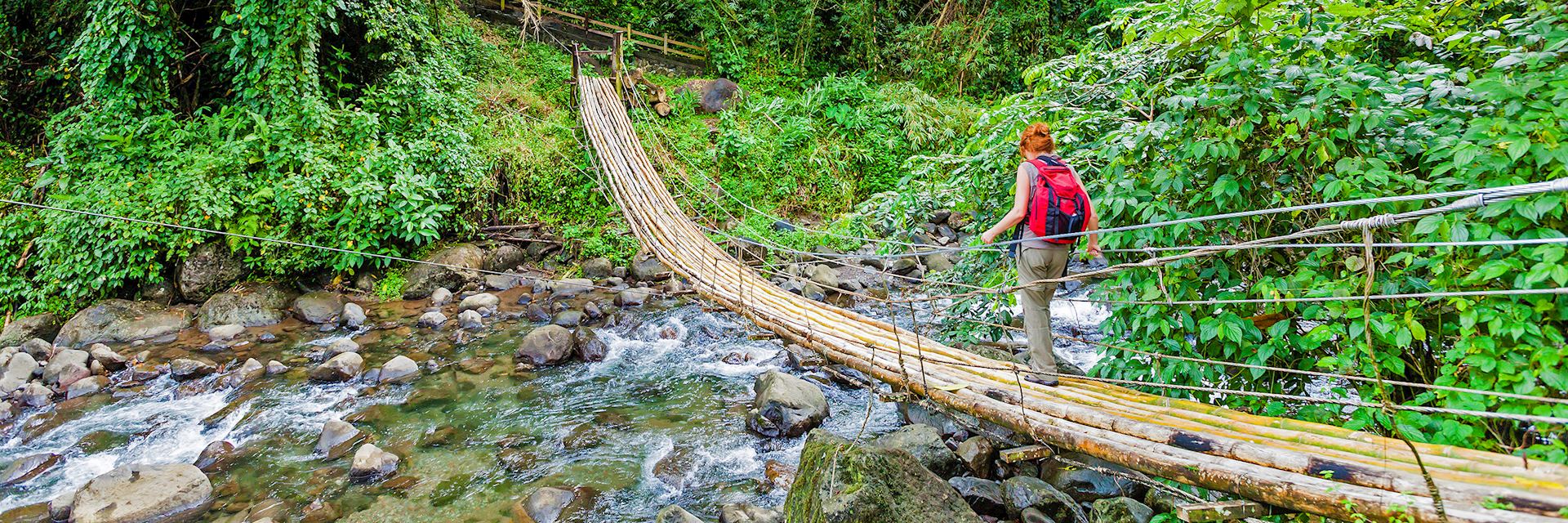 Crossing a bamboo bridge, St Vincent and the Grenadines