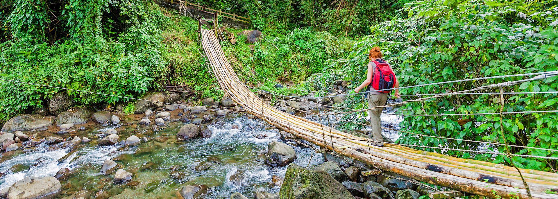 Crossing a bamboo bridge, St Vincent and the Grenadines