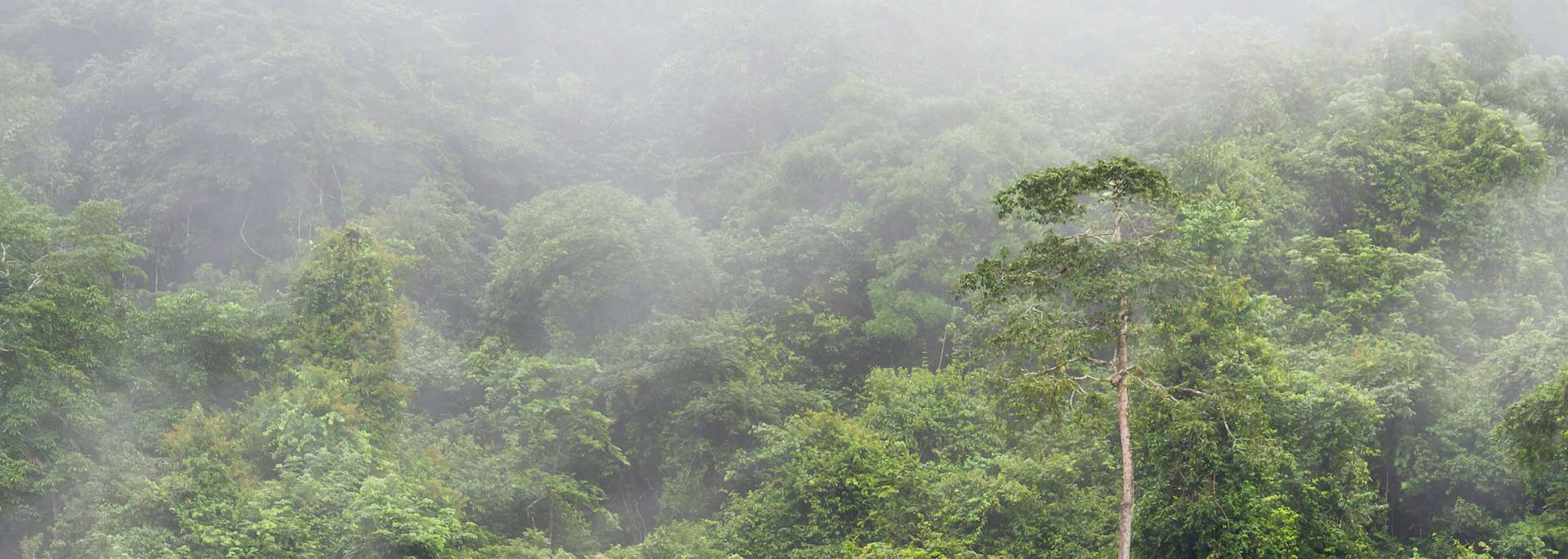 Countryside of the Cayo District