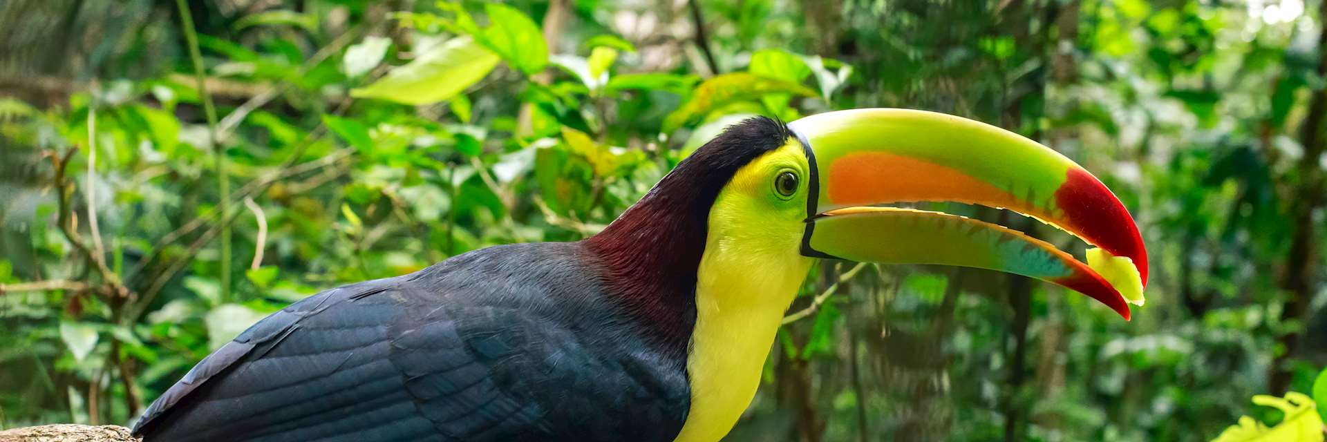 Tailor-made Belize Tours & Itineraries | Audley Travel US