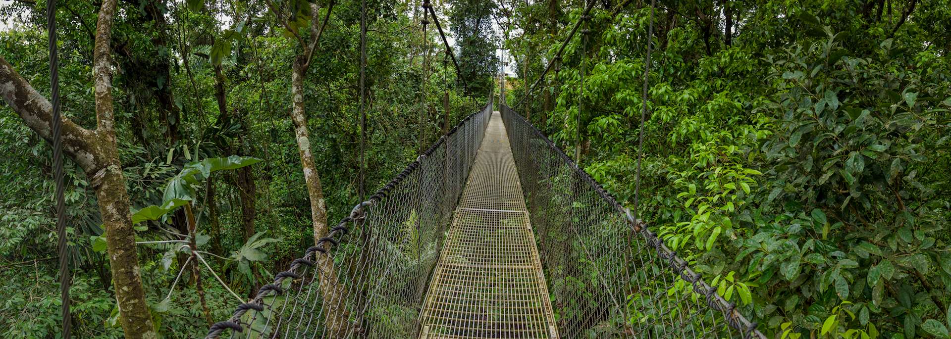 Arenal Hanging Bridges
