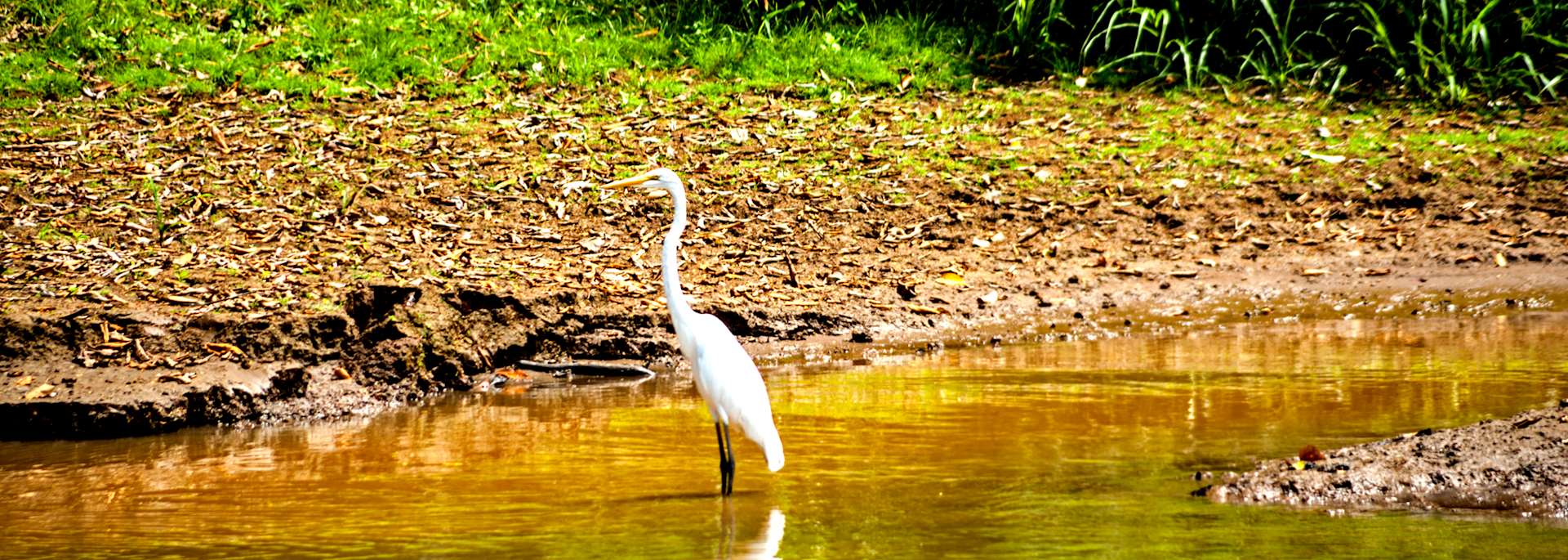 Caño Negro Wildlife Refuge