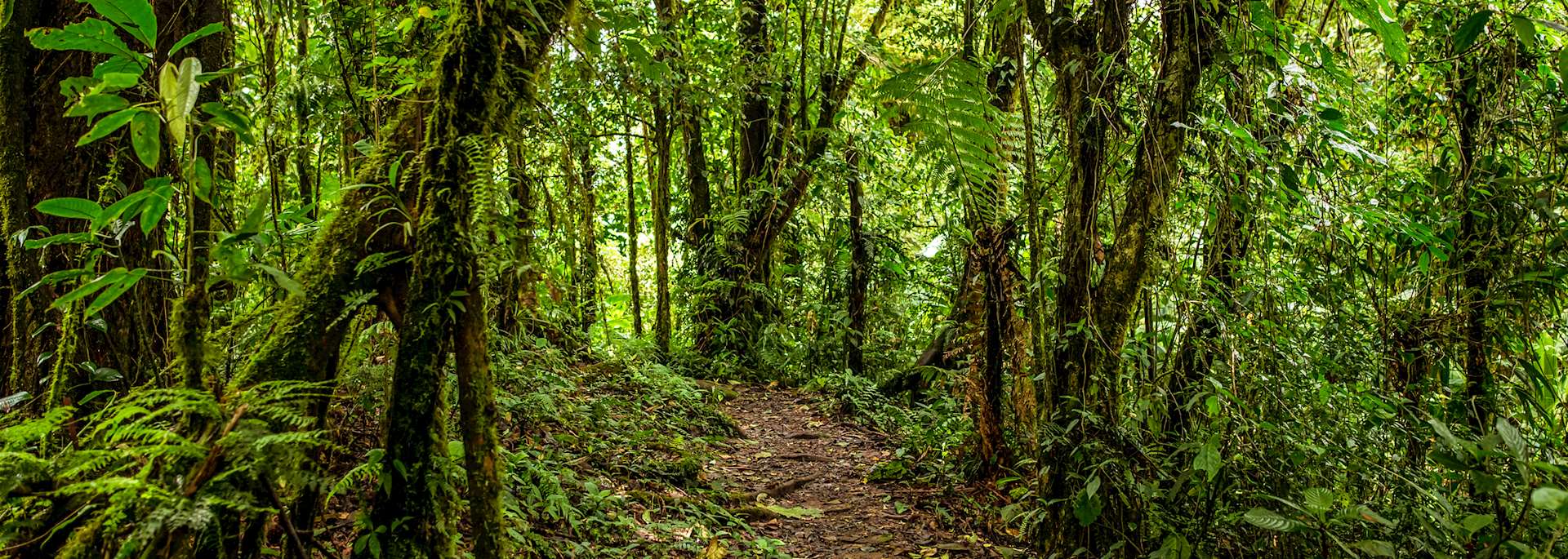 Trek to Cerro Chato
