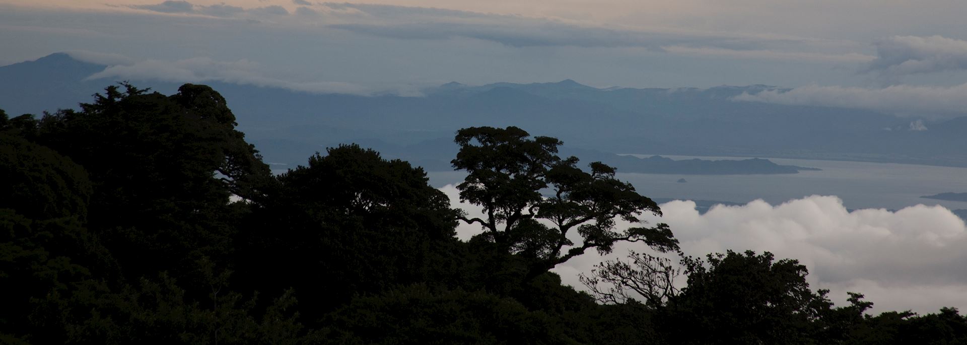 Monteverde at sunset