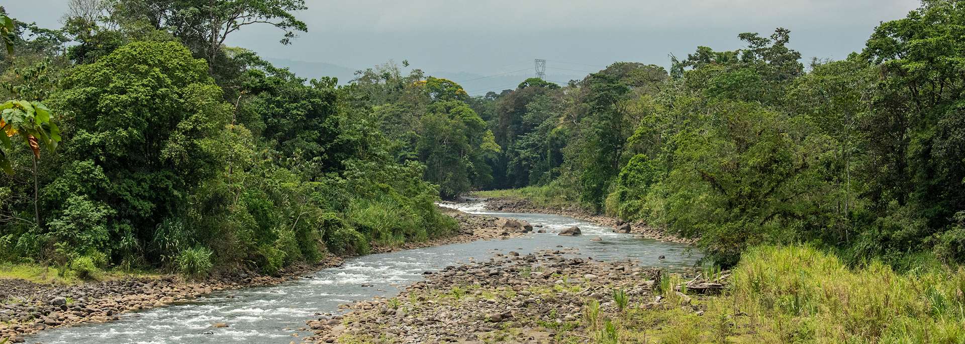 Sarapiqui