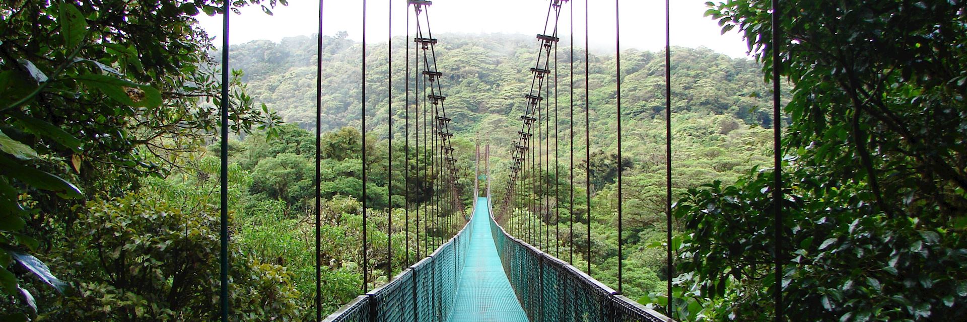 Selvatura Walkways and Canopy Zip-lining, Costa Rica | Audley Travel UK
