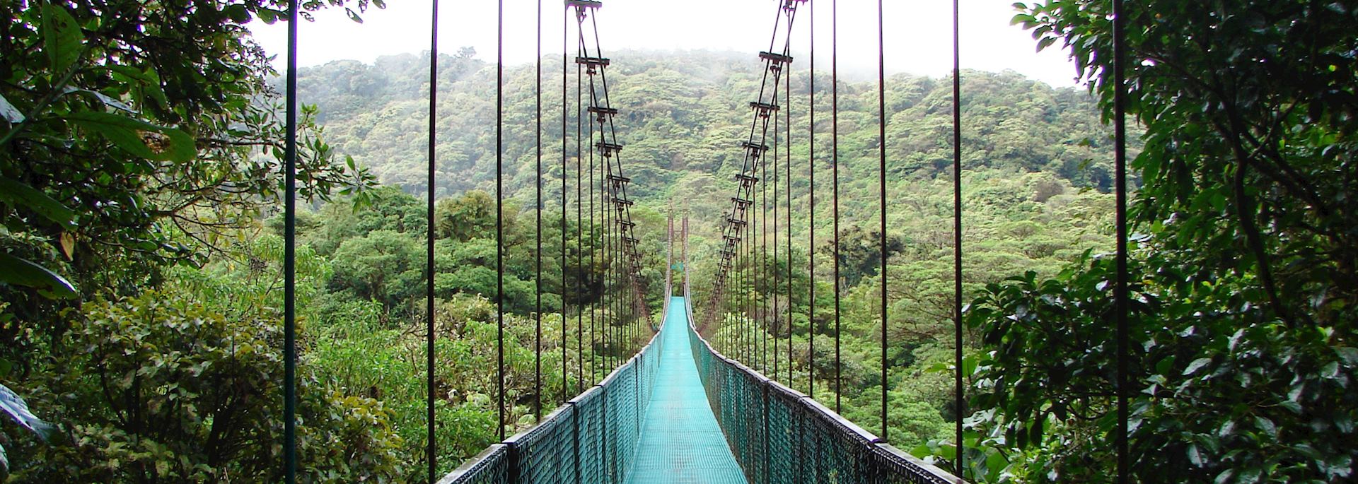 Selvatura Hanging Bridges, Monteverde