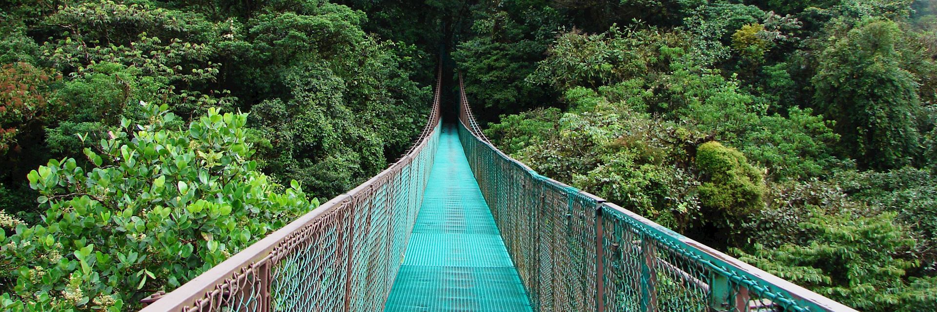 Selvatura Hanging Bridges, Monteverde