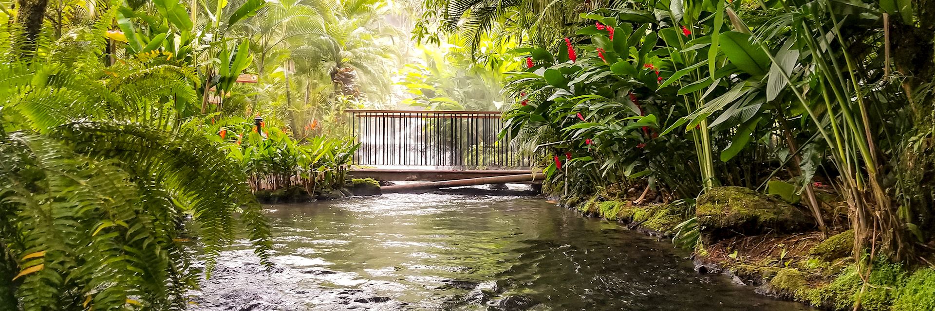 Tabacon Hot Springs River at Arenal Volcano