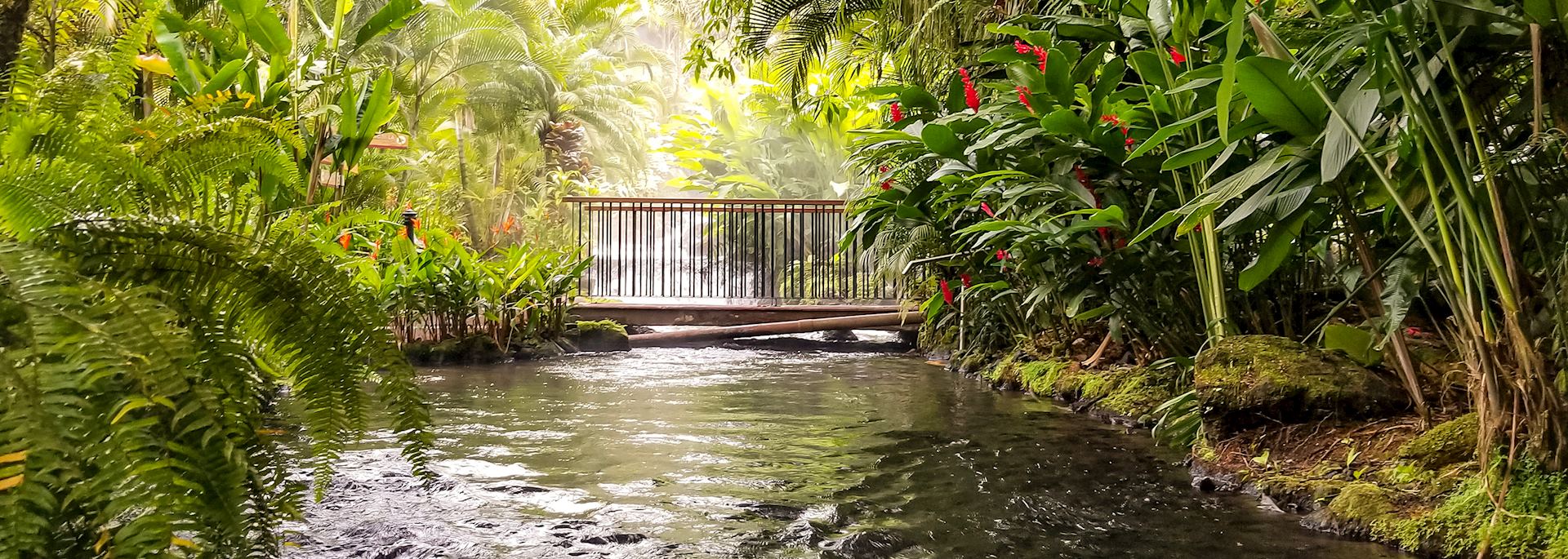 Tabacon Hot Springs River at Arenal Volcano