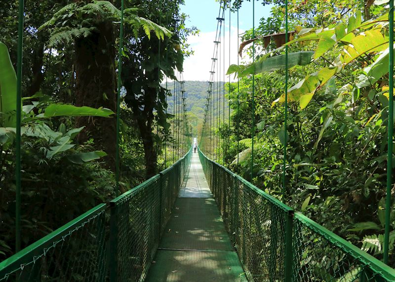 Canopy walk in Arenal