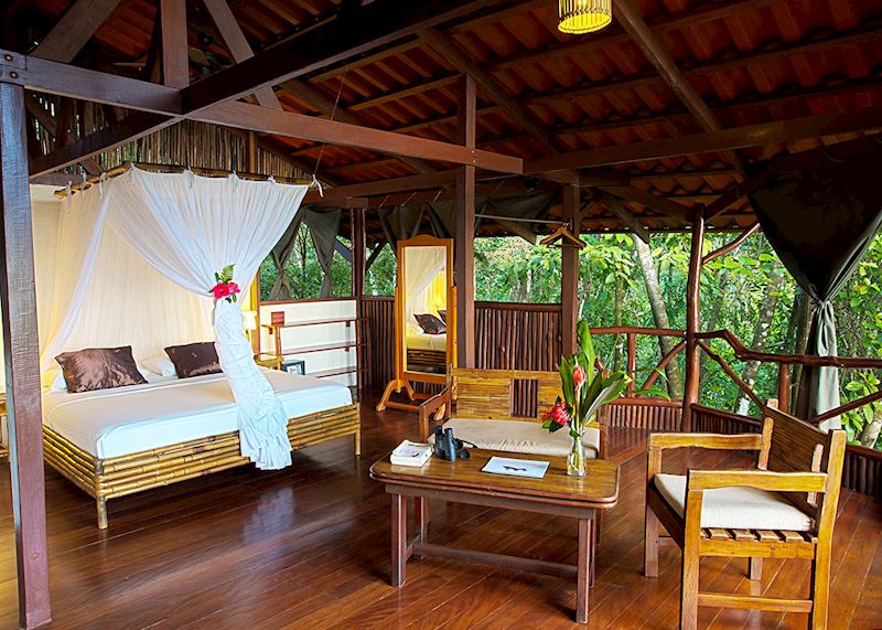 El Remanso Rainforest Wildlife Lodge