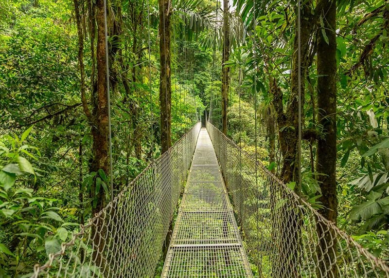 Hanging bridge walk, Arenal