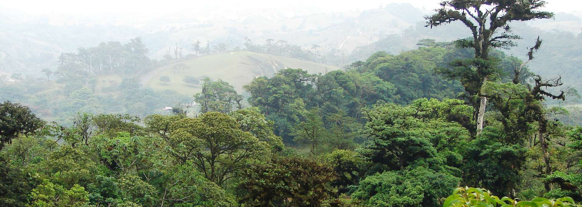 San Ramón countryside