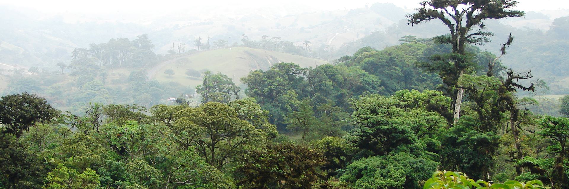 San Ramón countryside