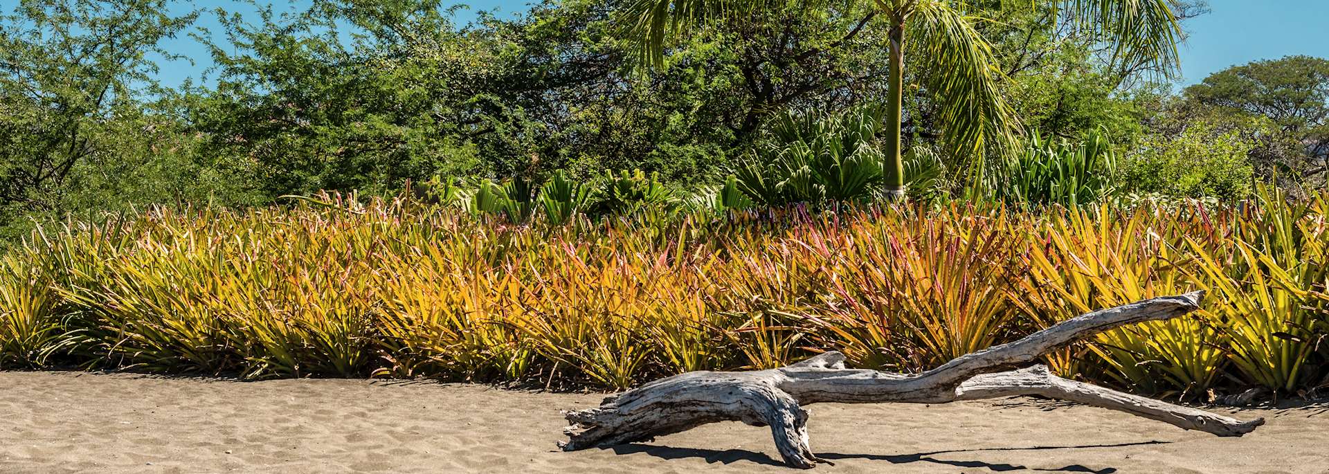 Playa Potrero