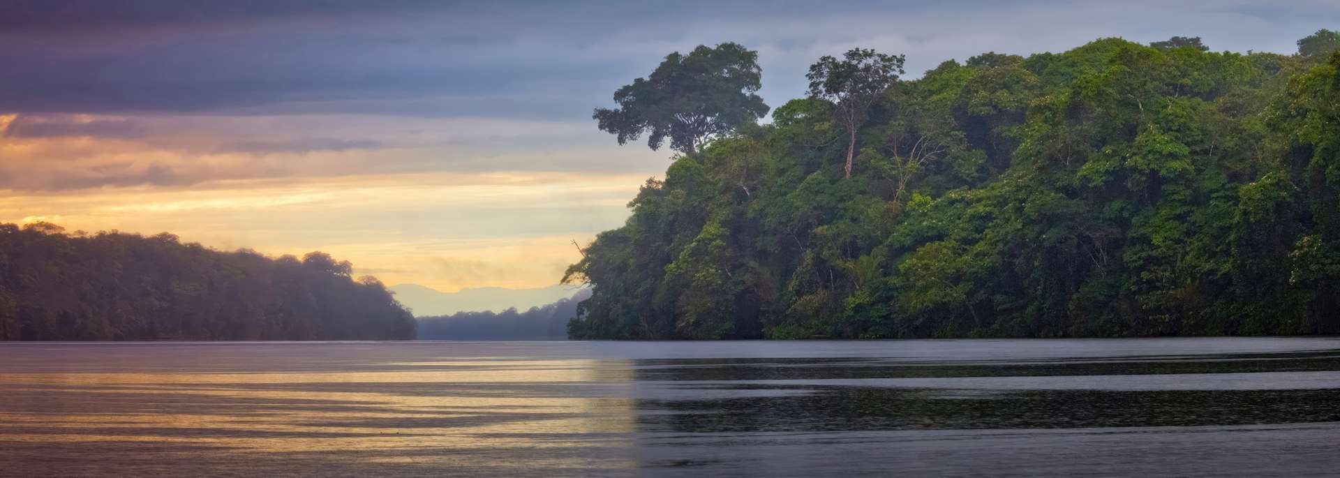 Landscape in Tortuguero National Park