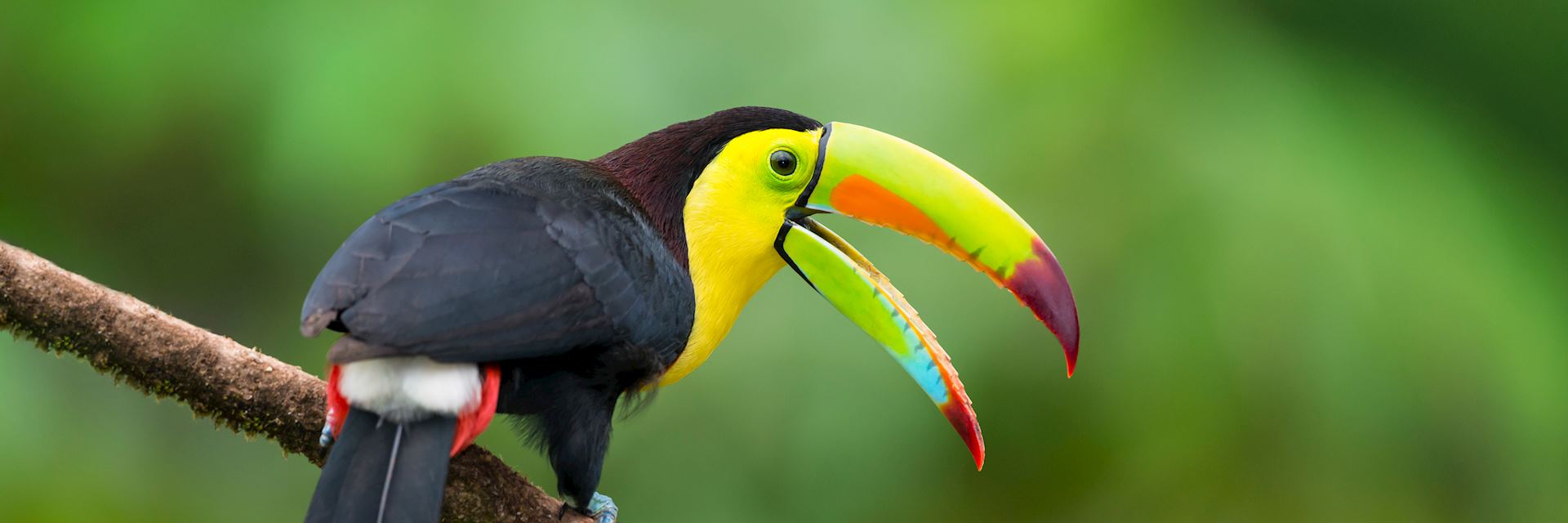 Honduras Holidays 2024 & 2025 - Tailor-Made from Audley Travel UK