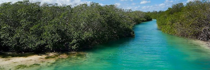Sian Ka’an biosphere reserve