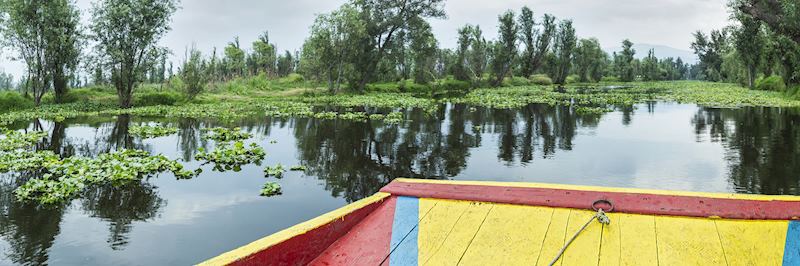 Tour the Floating Gardens of Xochimilco on a traditional trajinera (gondola)
