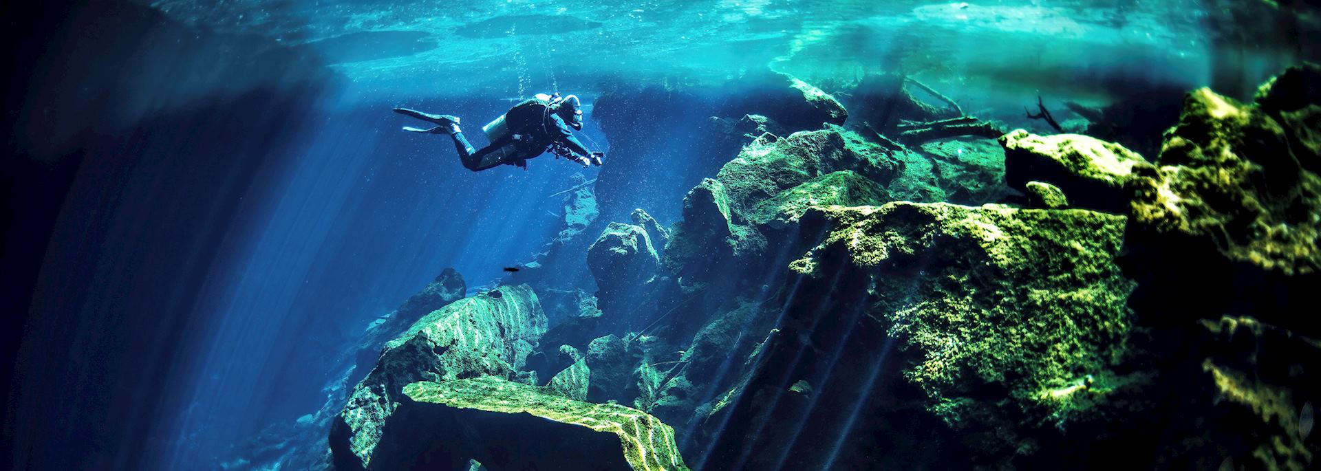 Diving in one of Mexico's cenotes