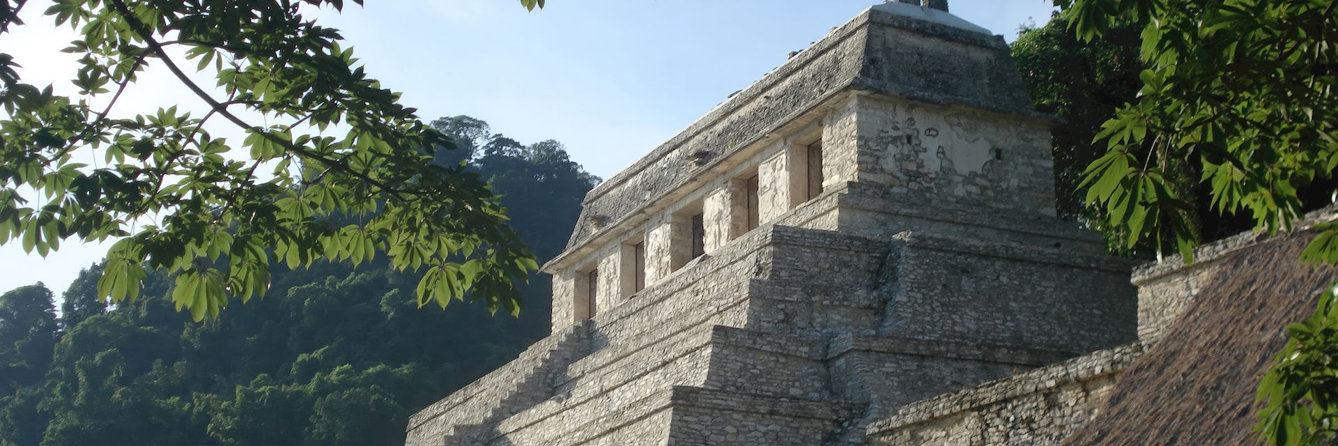 Maya pyramid at Palenque