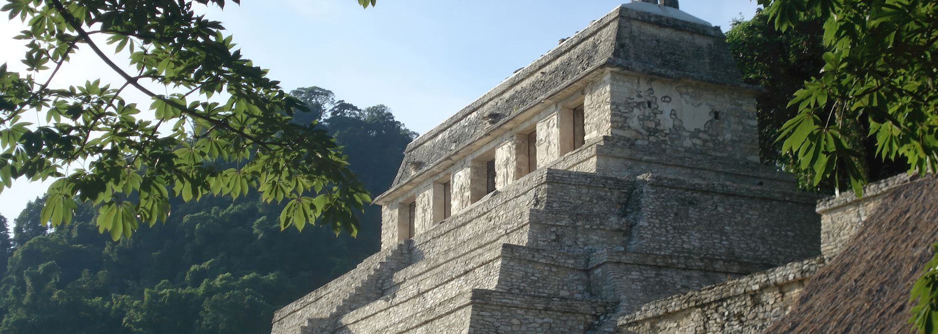 Maya pyramid at Palenque