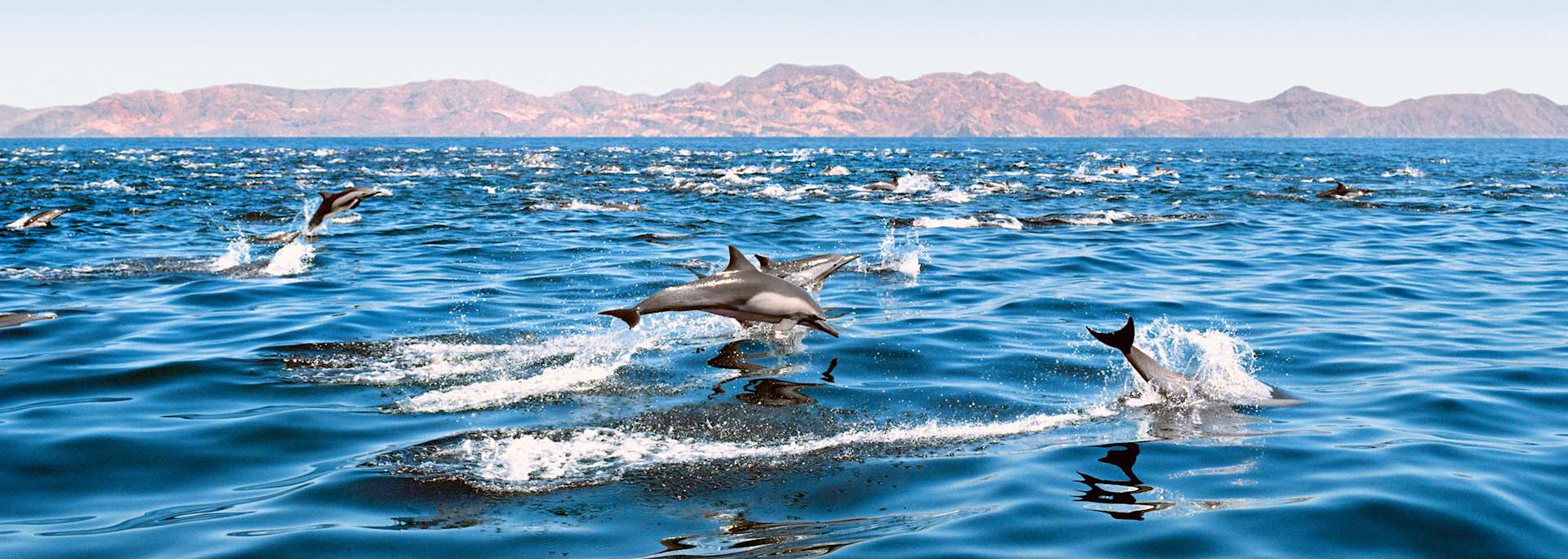 Baja, California