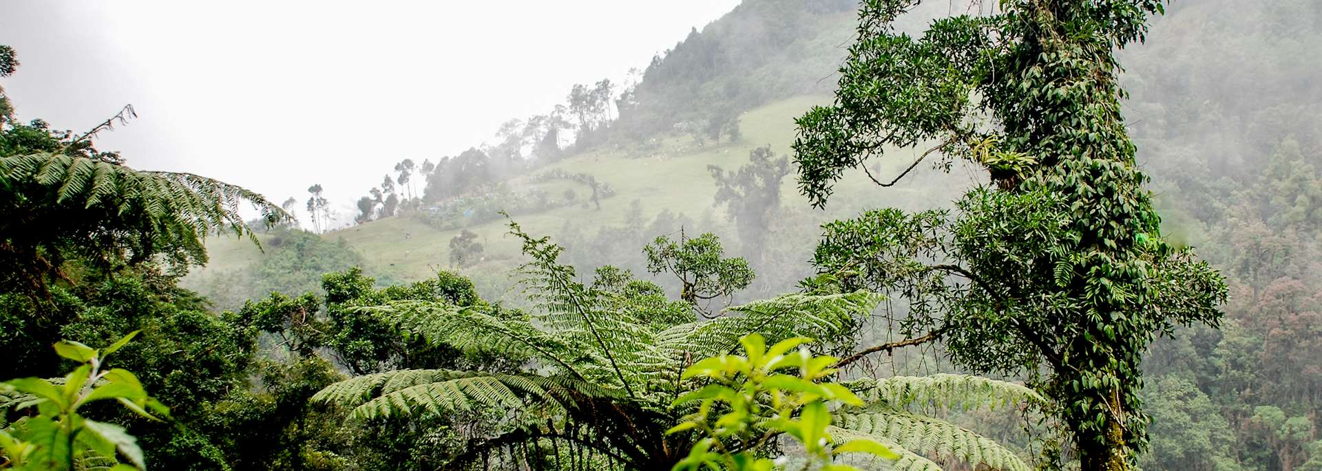 Countryside surrounding Tapachula