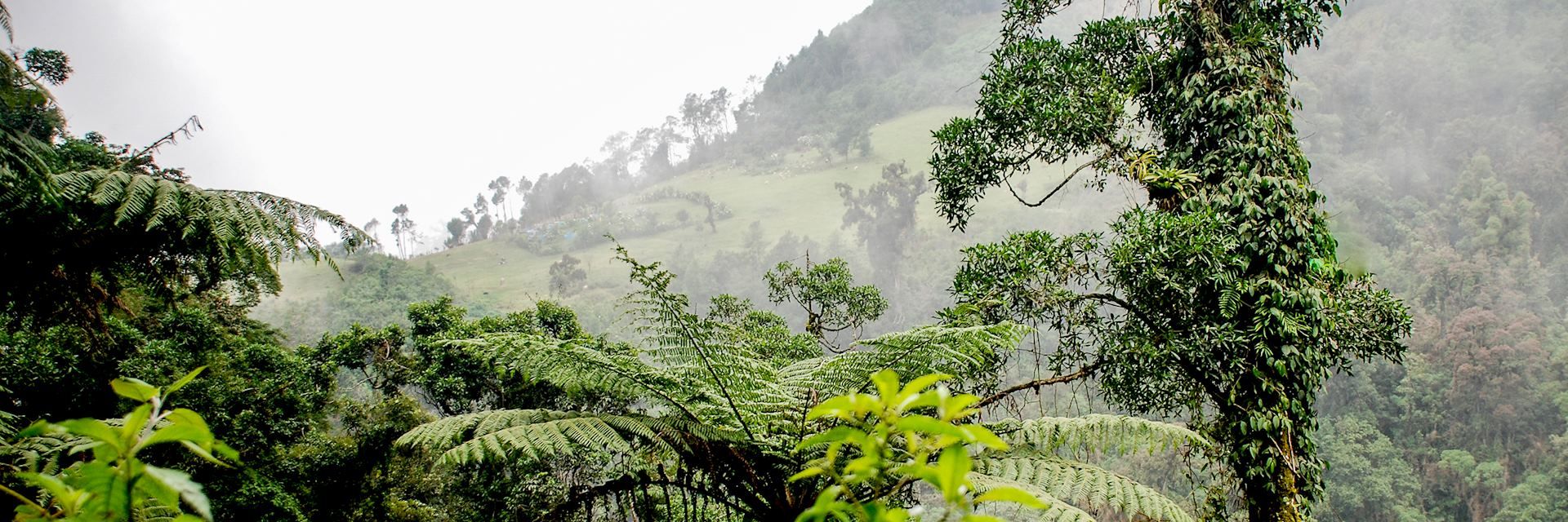 Countryside surrounding Tapachula