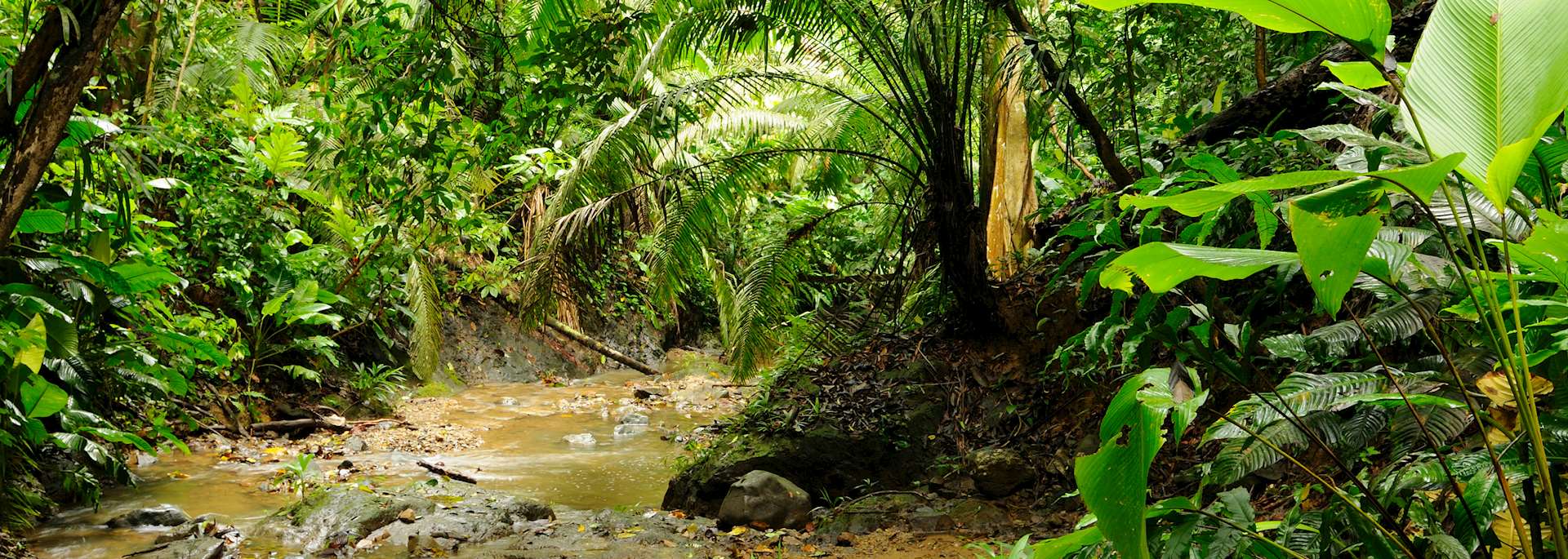 Darién National Park