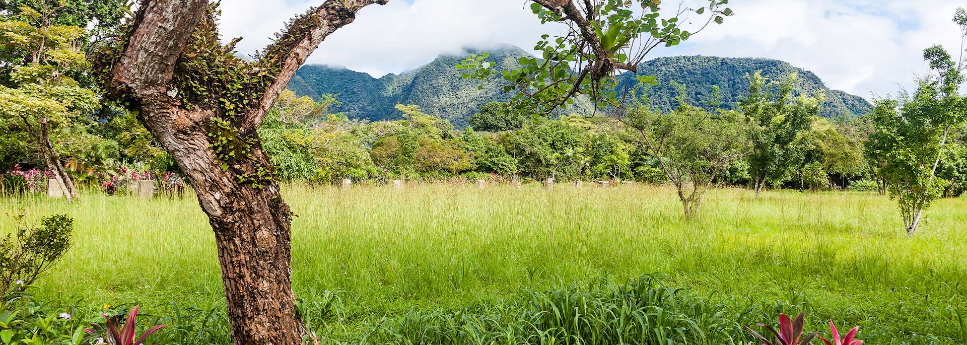 El Valle