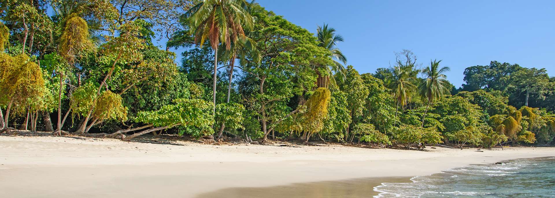 Beach in Manuel Antonio National Park