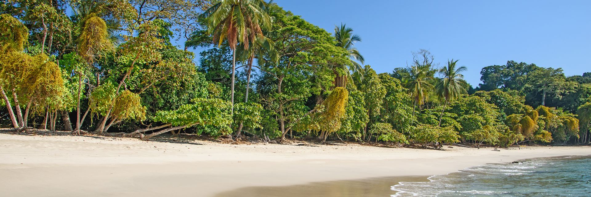 Beach in Manuel Antonio National Park