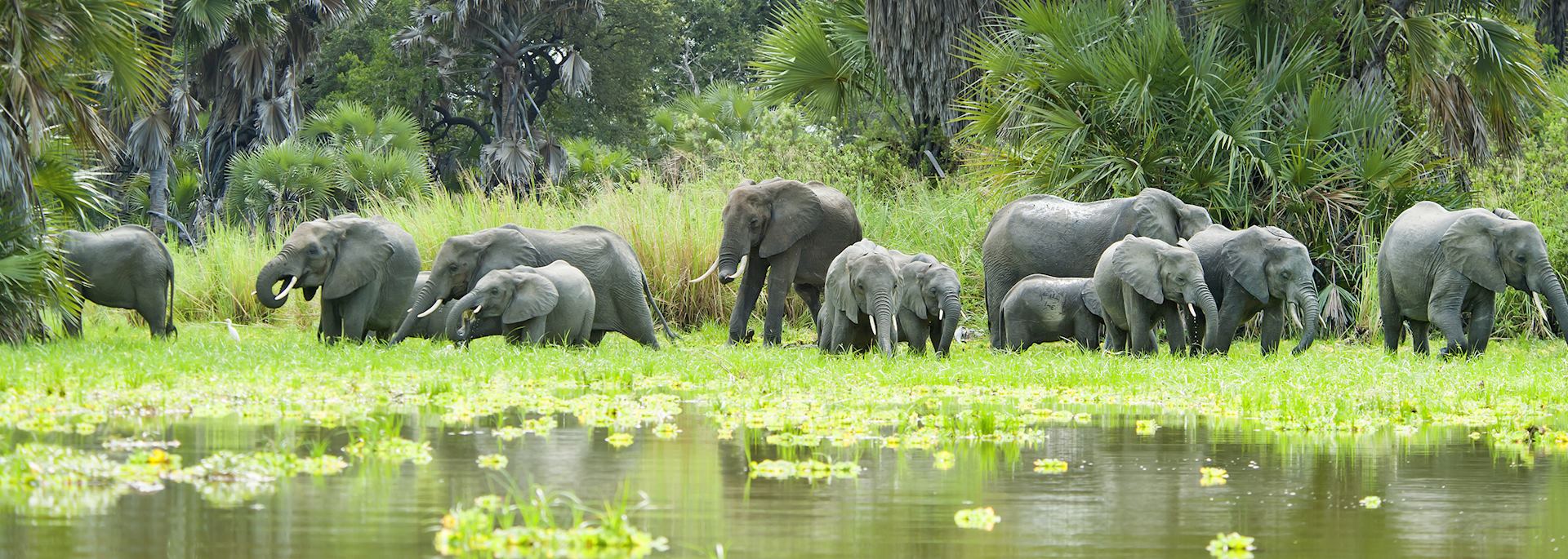 Selous Game Reserve, Tanzania