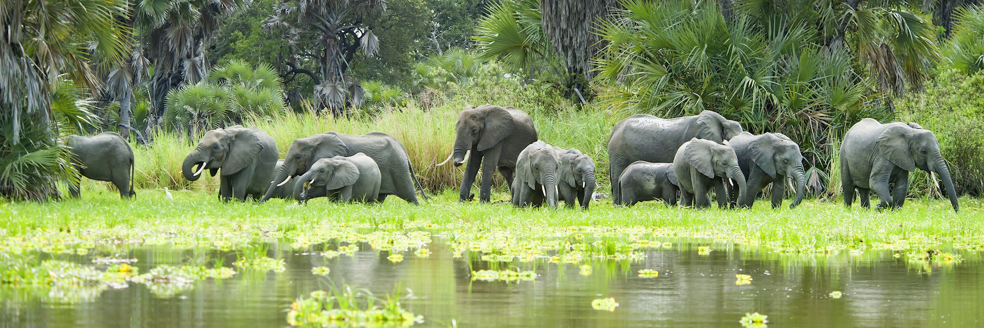 Selous Game Reserve, Tanzania