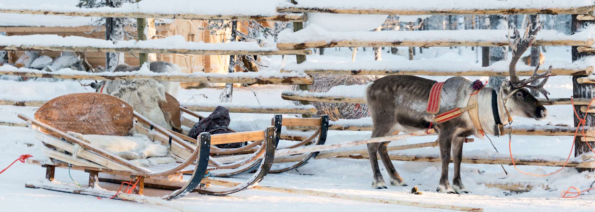 Reindeer sledge, Finnish Lapland