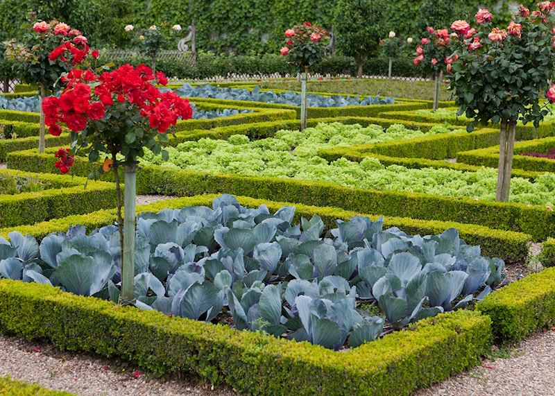 Jardin des Simples, Château de Villandry