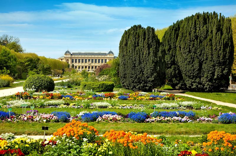 Gardens of the Tuileries, Paris