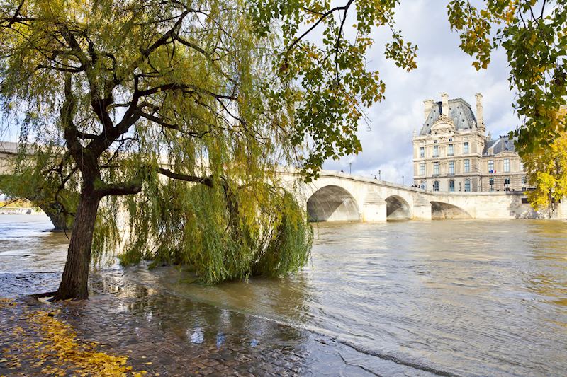 The Louvre
