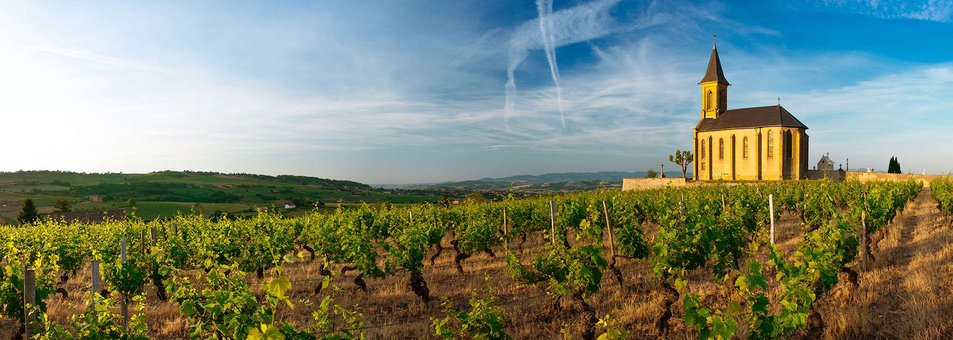 Church and vineyards of Saint Laurent d'Oingt, Beaujolais, France