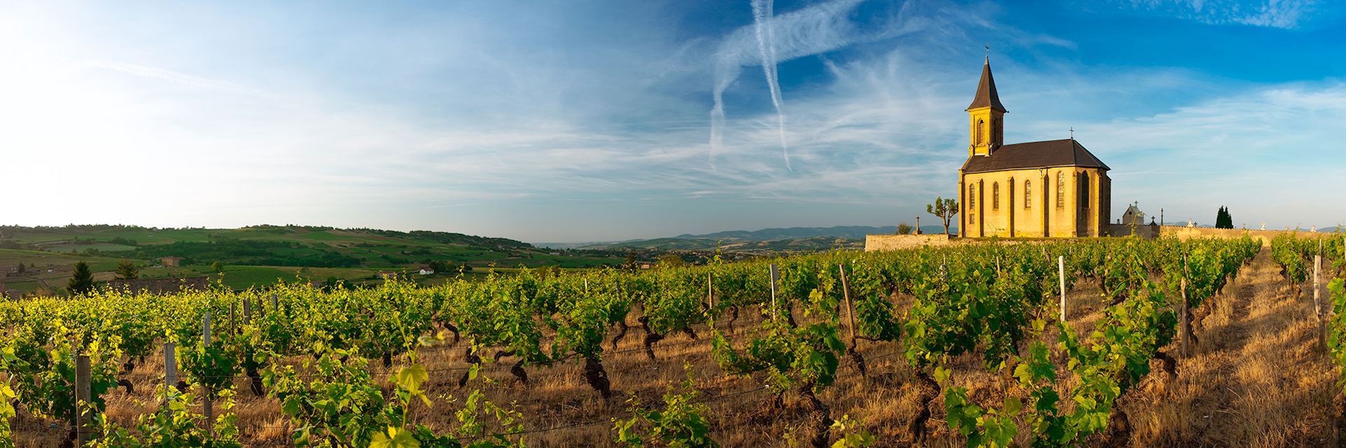 Church and vineyards of Saint Laurent d'Oingt, Beaujolais, France