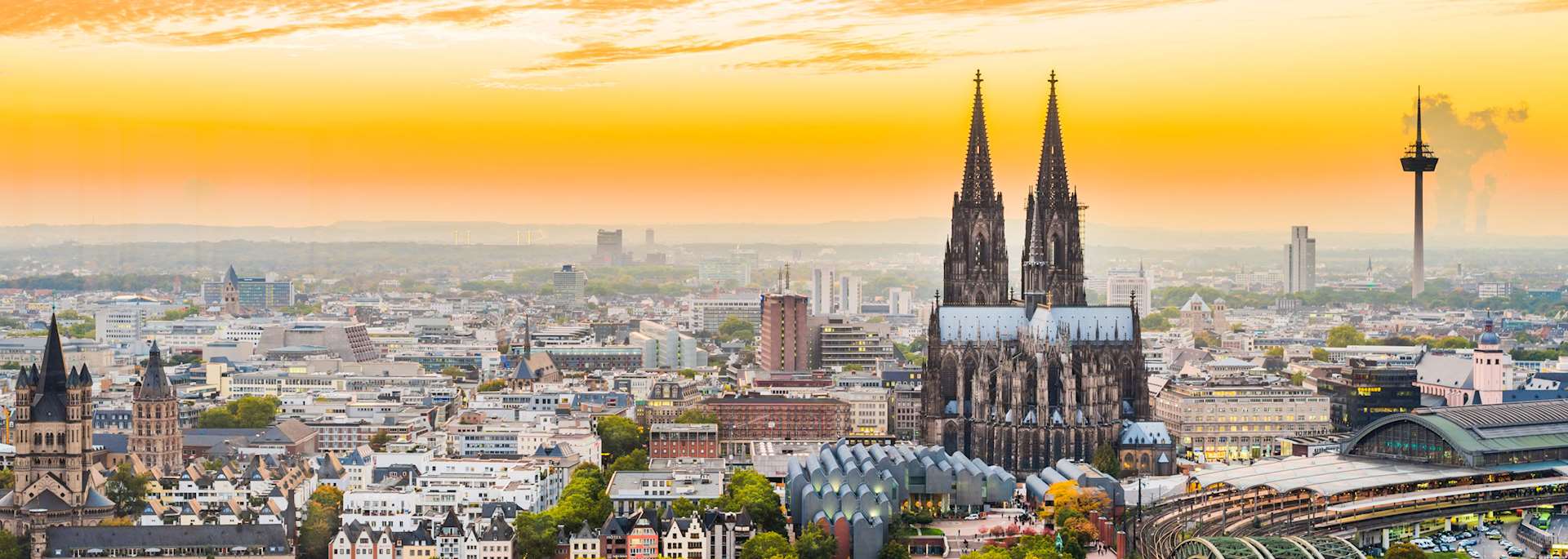 Cologne