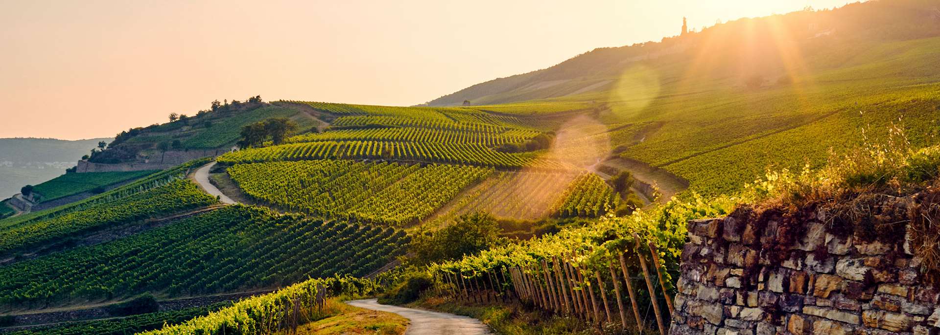Rhine Valley