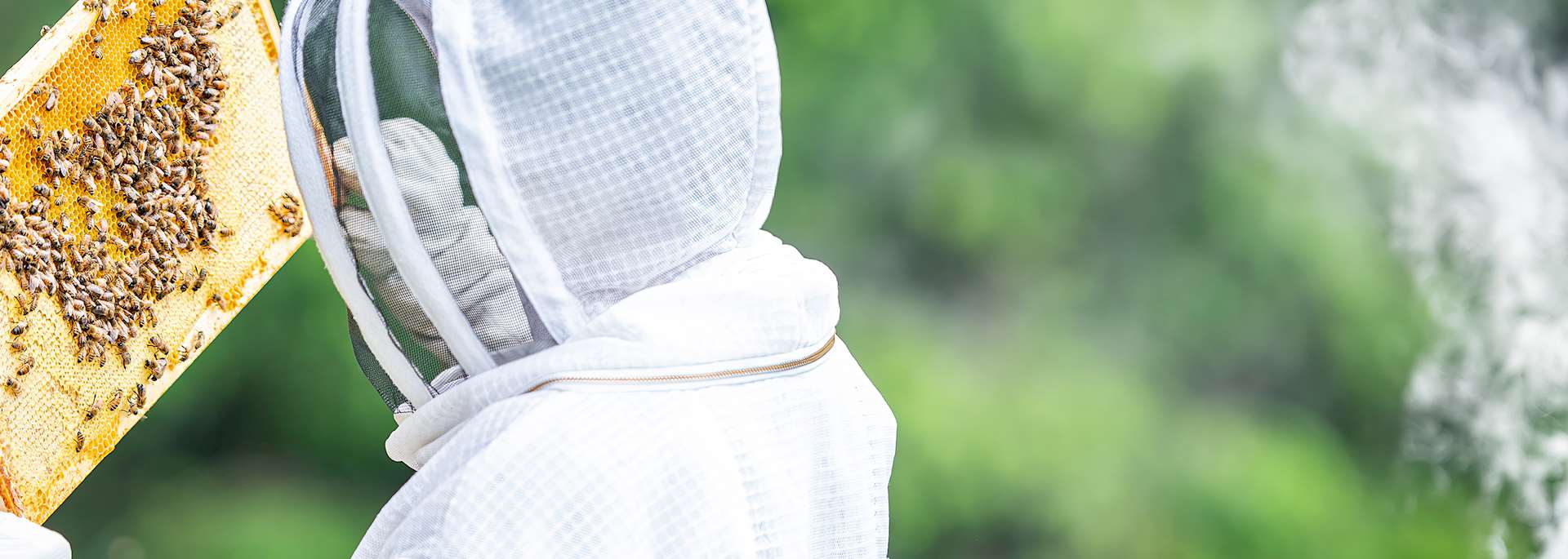 Beekeeping, Greece